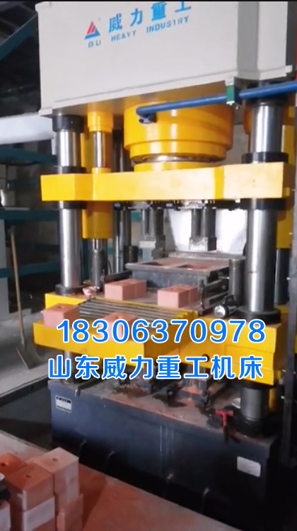 一出二牛羊舔磚液壓機客戶生產現場